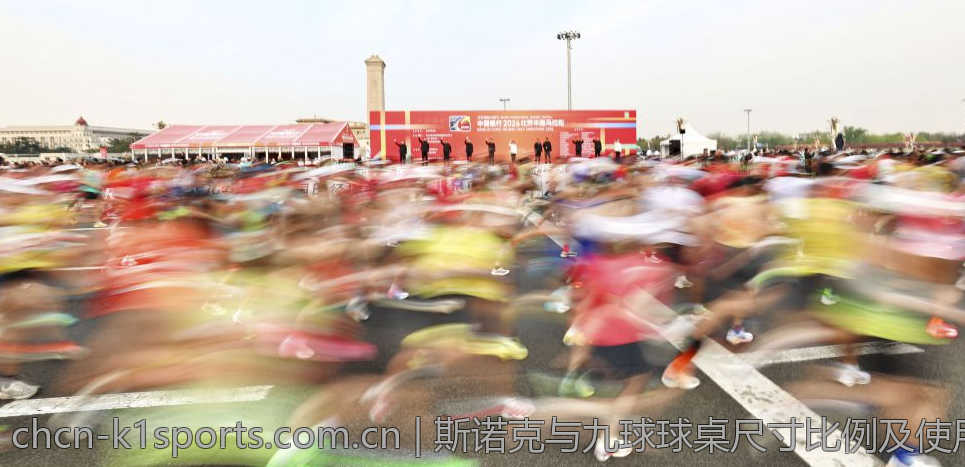 斯诺克与九球球桌尺寸比例及使用场景探讨