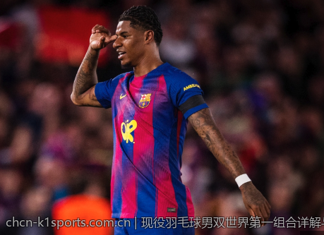 现役羽毛球男双世界第一组合详解与比赛历史
